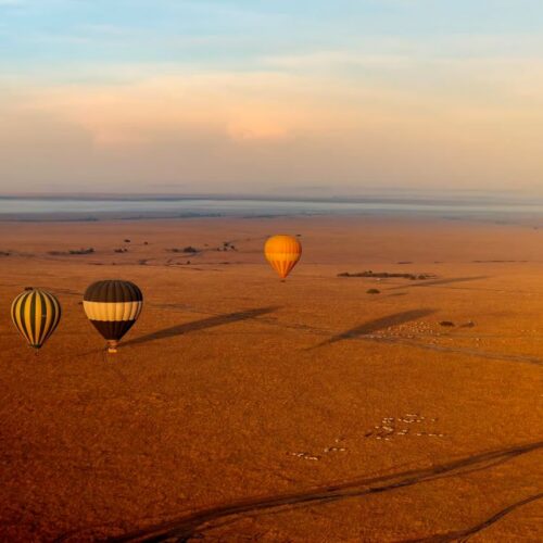 1 Day Masai Mara Game Drive